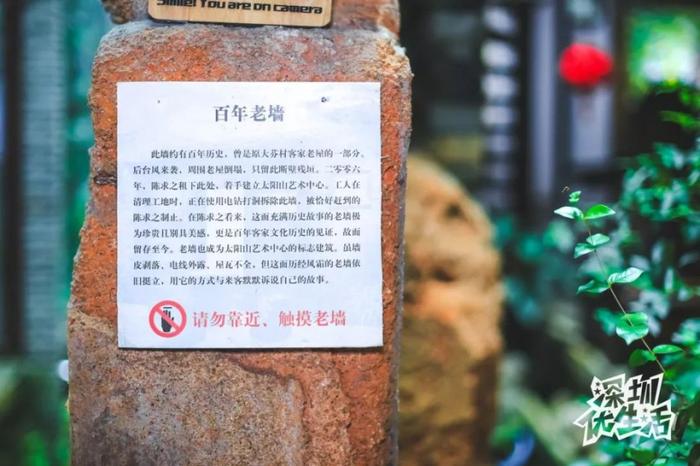 就在深圳！这个闻名世界的小村子，不仅有油画，还有百年老墙....