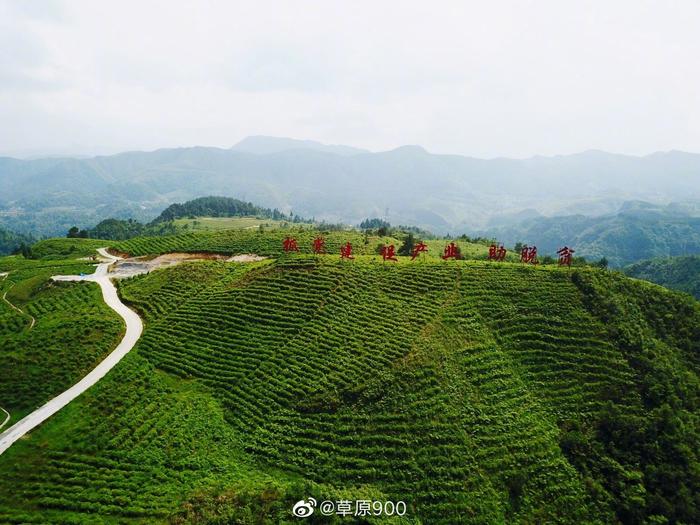 山水贵州黔南行 玩味乡韵好花红 腾云驾雾暮色美 翠峰叠连郁葱茏