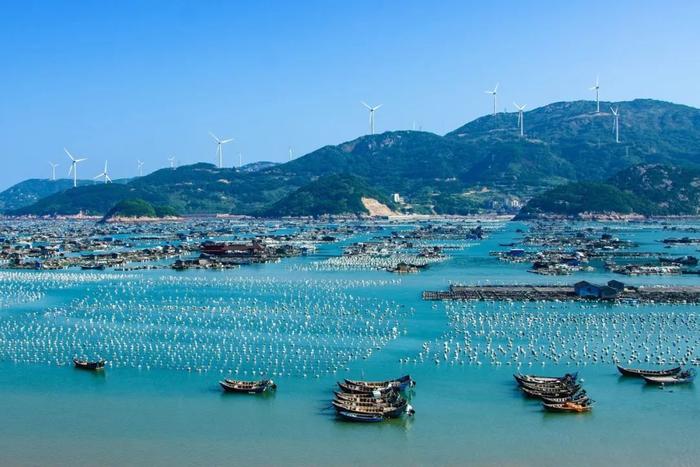 串联31座海滨城市，收纳N座梦幻海岛，这条沿海高速，夏季必驾！