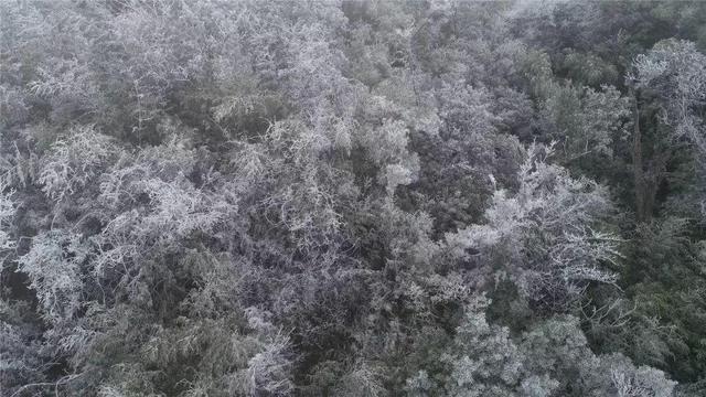 广西贺州姑婆山也下雪啦，快来看雪景赏雾凇堆雪人！