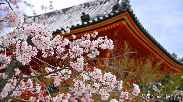 住进日本寺庙中民宿--宿坊,体验禅修生活旅行攻略!