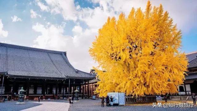 住进日本寺庙中民宿--宿坊,体验禅修生活旅行攻略!