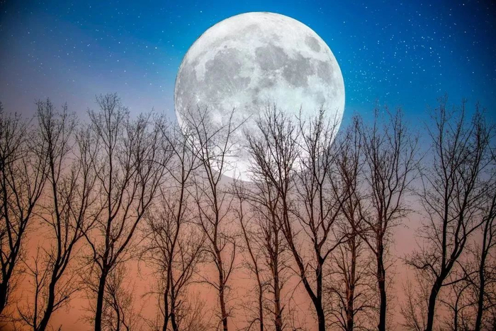 怎么申请免费空间