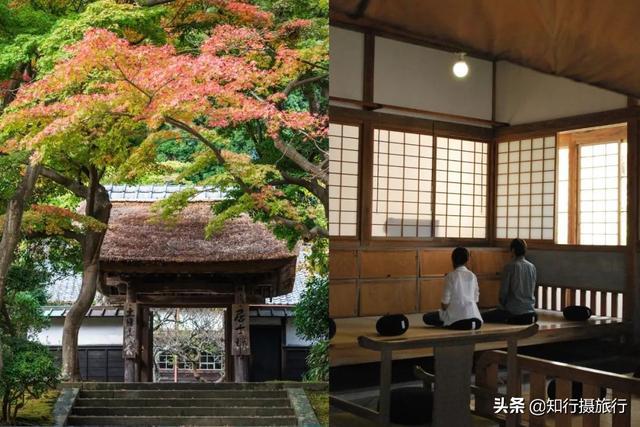 住进日本寺庙中民宿--宿坊,体验禅修生活旅行攻略!