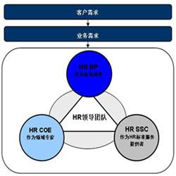 一篇文章读懂人力资源三支柱体系（COE・BP・SSC）