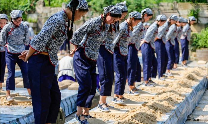 茅台镇酱香酒的传统酿造工艺“踩曲”，为什么都是年轻女子在做？