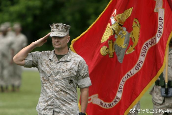 “星旗电戟”如何正确分辨美国海军陆战队的军用旗帜？