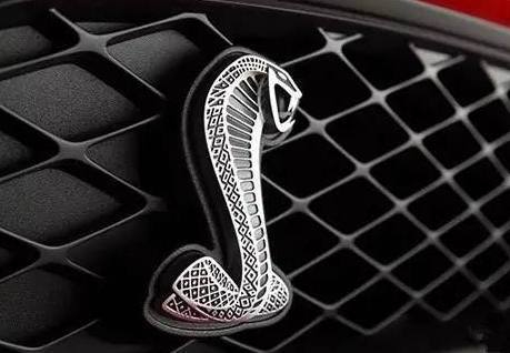 车圈的这两条毒蛇你知道吗，每个人都想被它们咬一口