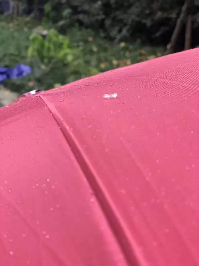 官宣！杭黄铁路列车时刻表正式出炉，快来杭州下雪落下的声音！