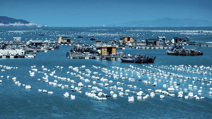 串联31座海滨城市，收纳N座梦幻海岛，这条沿海高速，夏季必驾！