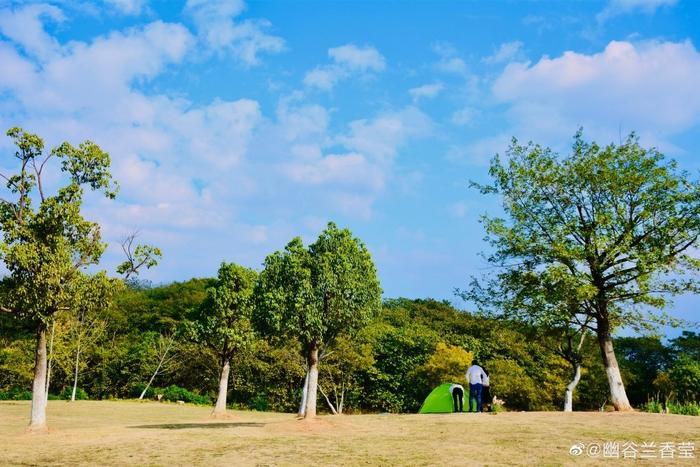 羊山公园位于南京市栖霞区仙林大学城东部，处于仙林副城的中心区