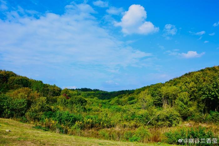 羊山公园位于南京市栖霞区仙林大学城东部，处于仙林副城的中心区