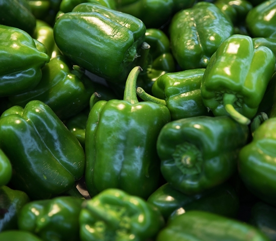 青椒结果蔫吧死亡原因 网络名词青椒什么意思