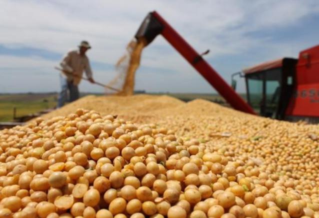 俄产“大豆”运往中国，118万公顷土地供给中国，美国农民羡慕