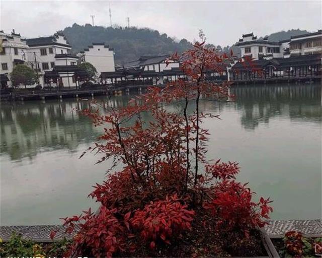 浙江桐庐芦茨湾杨妞农家乐“阡陌交通，鸡犬相闻”的桃花源式生活