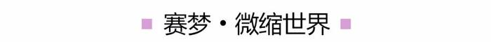 刷爆北外滩新地标！上海白玉兰广场逛吃全攻略来了！