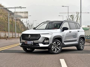 销量极佳的车型毕竟是少数，