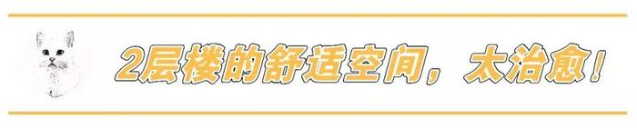 宁波这家藏了14只喵的“地下吸猫场所”，老板竟然不是人？