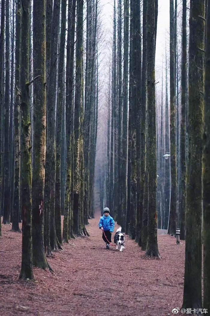 高山
湖泊
林中的雾和风
回到旷野
汉兰达  再出发
爱卡与你一起  
Go