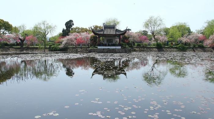 江南春色诗词精选二十三首 春水碧于天，画船听雨眠