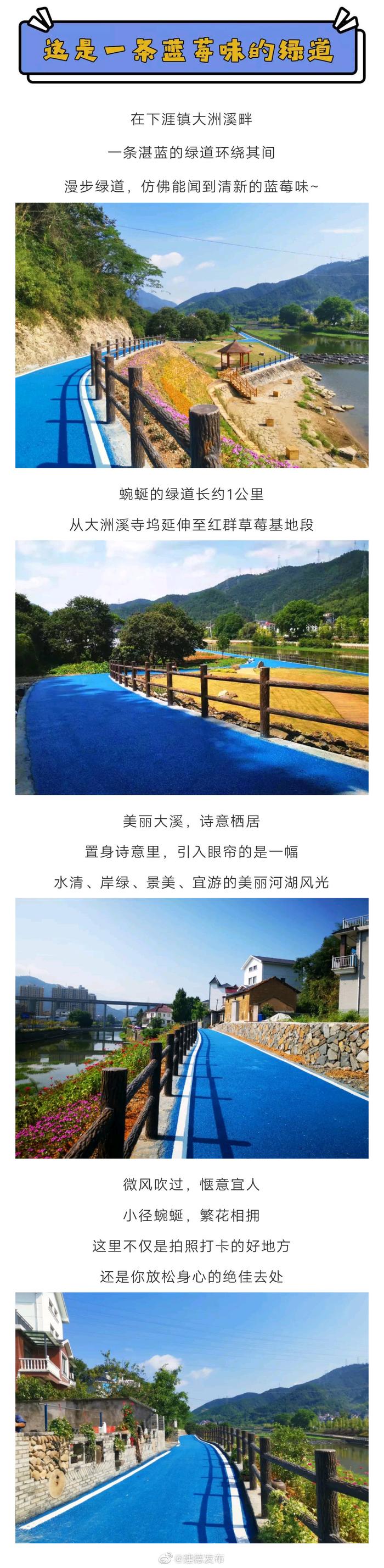 我太“蓝”了！大建德这条“蓝莓绿道”你还没来打卡吗