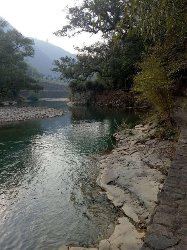 浙江桐庐芦茨湾杨妞农家乐“阡陌交通，鸡犬相闻”的桃花源式生活