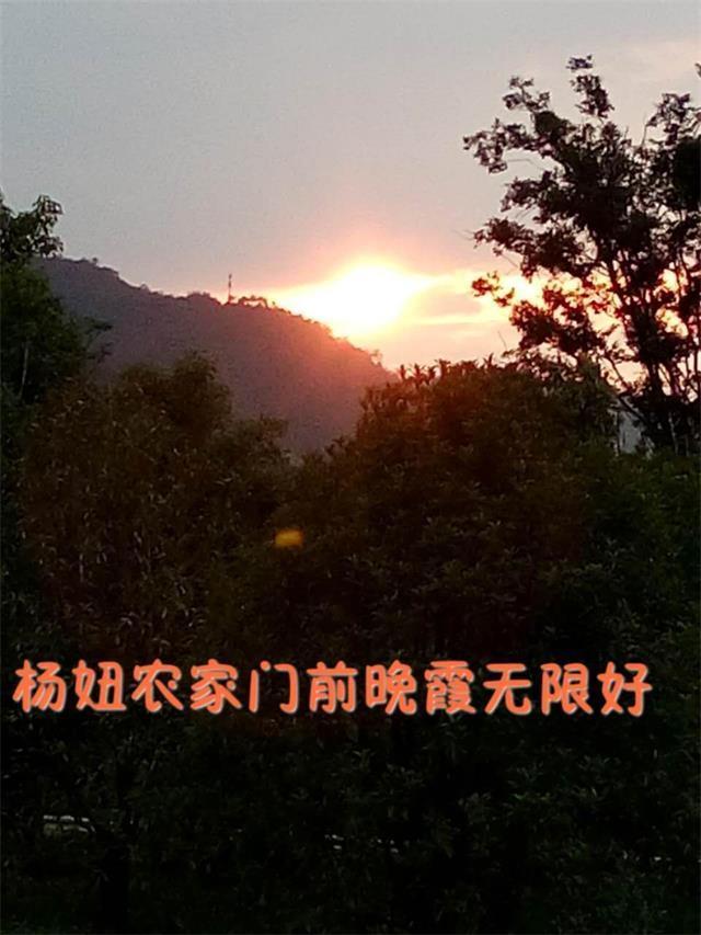 浙江桐庐芦茨湾杨妞农家乐“阡陌交通，鸡犬相闻”的桃花源式生活
