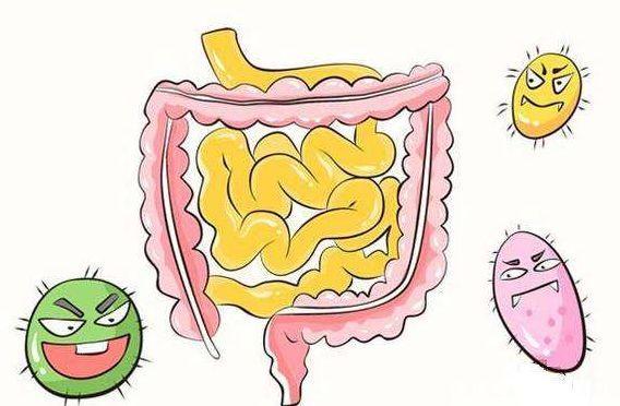 一字之差：胃肠宁、肠胃宁、肠炎宁、胃炎宁之间有哪些区别？