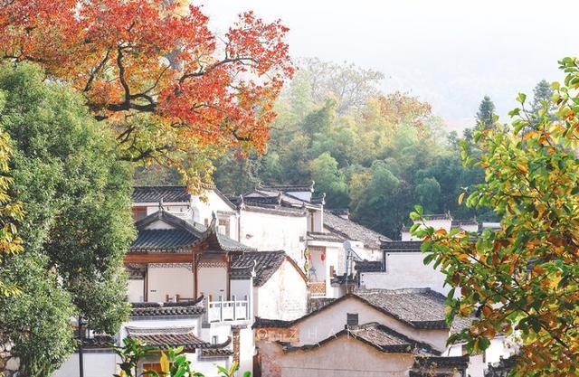 许多人向往的徽州古村镇，竟藏着国内秋天一半的美景