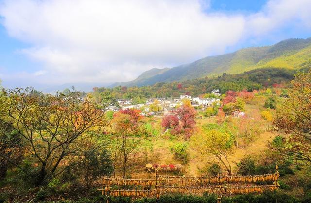 许多人向往的徽州古村镇，竟藏着国内秋天一半的美景