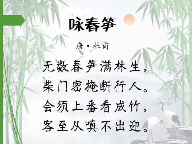 16首著名咏竹诗，第一首就很值得背诵