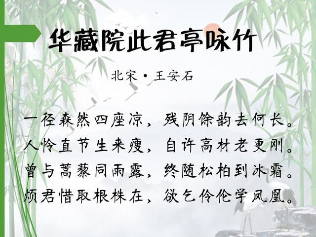 16首著名咏竹诗，第一首就很值得背诵