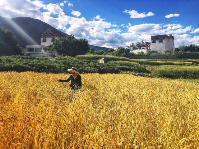 15 ℃四川秘境，藏着康巴的“小江南”！睡进海拔2780米的白藏房