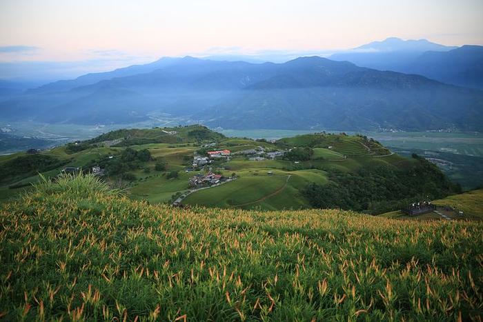 “花海”摄影中的两个关键点，小技巧让进阶练习带回不一样的照片