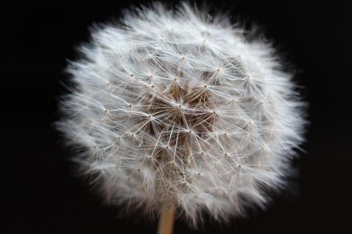 下个月，月老相助，缘分与桃花和平相处，余生拥抱爱情的四大生肖