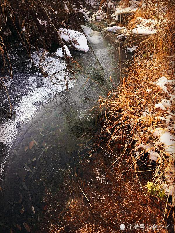 冬日里的秦岭风光——小溪沟雪景
