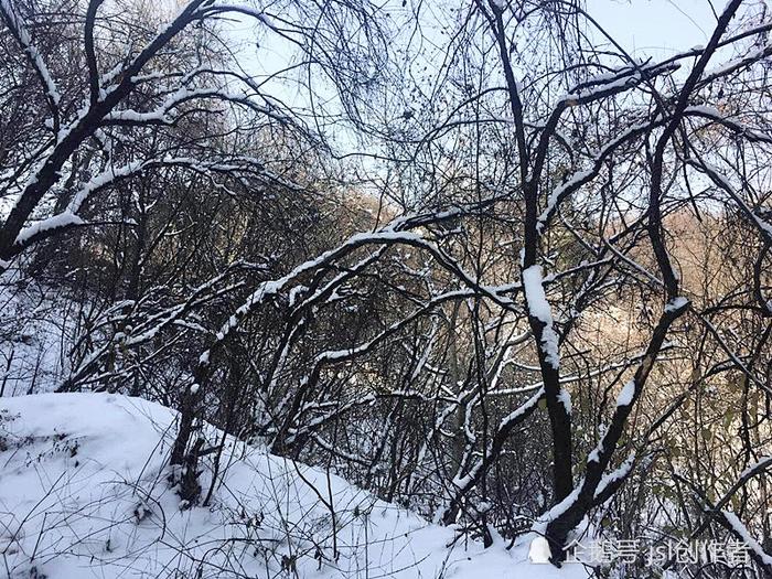冬日里的秦岭风光——小溪沟雪景