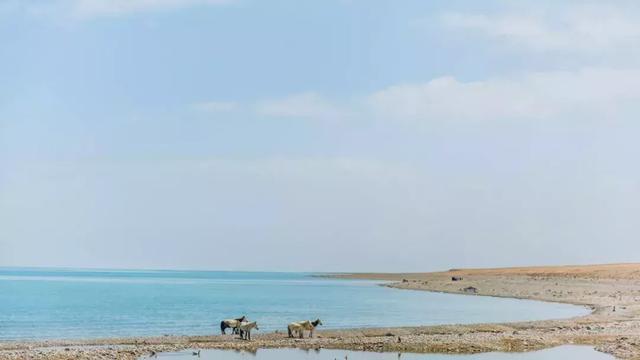 西北旅游线路（塔尔寺+青海湖+茶卡盐湖）四日游