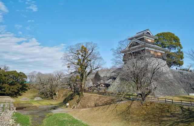 日本著名三大名城之一，又被称为银杏城，因熊本熊闻名世界