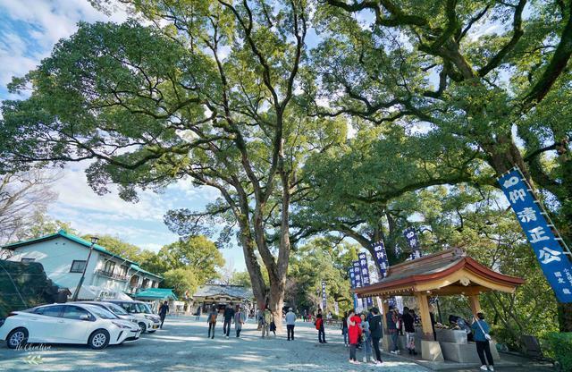 日本著名三大名城之一，又被称为银杏城，因熊本熊闻名世界