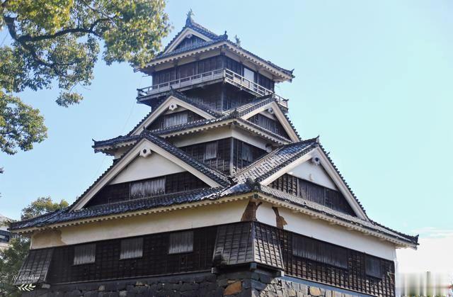 日本著名三大名城之一，又被称为银杏城，因熊本熊闻名世界