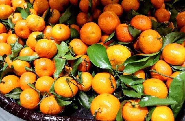 近3年，砂糖橘都被果农称为“杀人橘”，期间到底发生了什么？