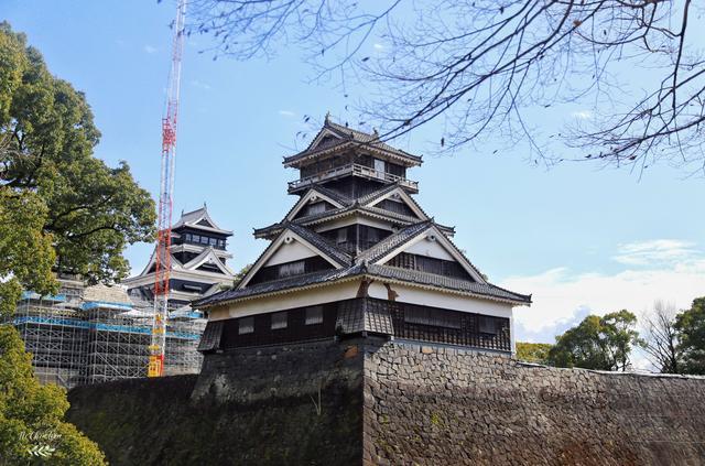 日本著名三大名城之一，又被称为银杏城，因熊本熊闻名世界