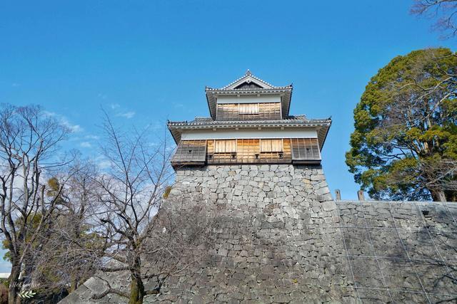 日本著名三大名城之一，又被称为银杏城，因熊本熊闻名世界