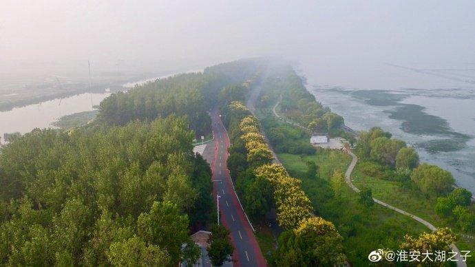 淮安洪泽湖古堰景区，栾树花开