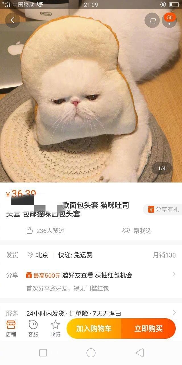 囧哥:吃水果根本不能减肥！男子开果园不成用水果养猪