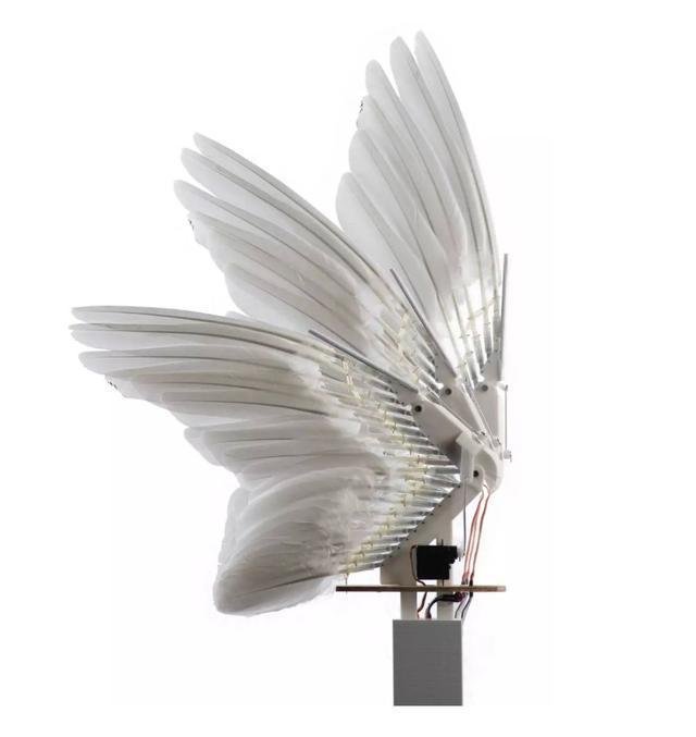 真·鲁班：斯坦福造出带羽毛翅膀的「机器鸽」，登Science及其子刊