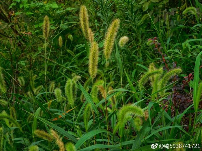 在大连市沙河口区黑石礁街道的红星村社区有一座革命纪念馆