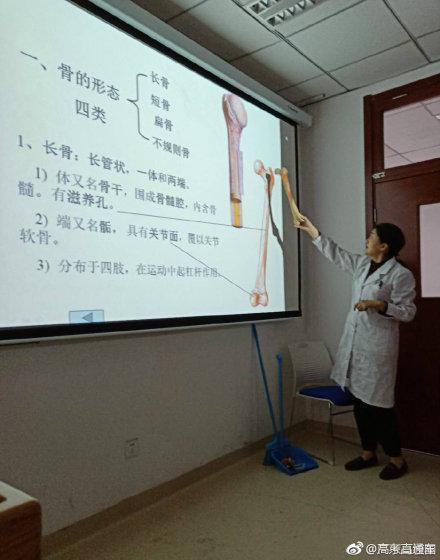 囧哥:飞机座位上惊现超大只阿拉斯加？