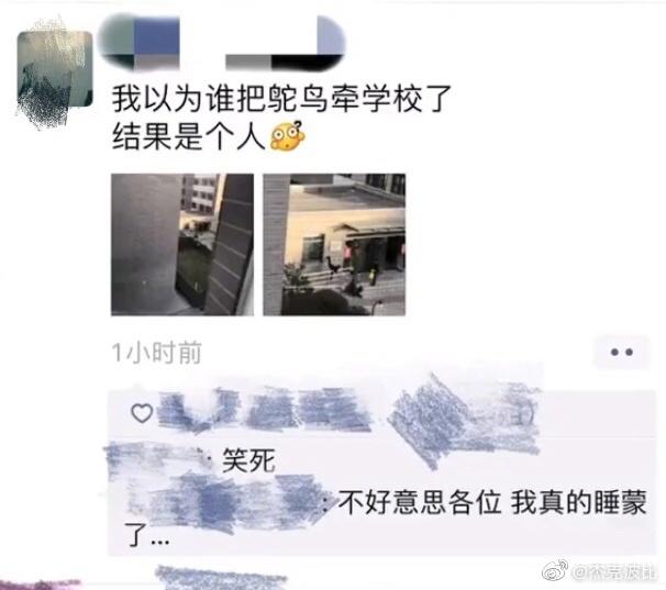 囧哥:贫穷限制想象力！网站“如何花掉比尔盖茨的钱”火了